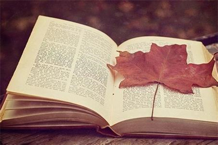 2020年云南自考農(nóng)業(yè)生態(tài)基礎(chǔ)重點(diǎn)知識(shí)二