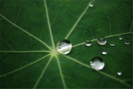 云南自考屬于第幾學(xué)歷?