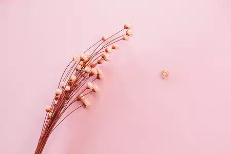 云南自考法學(xué)專業(yè)考試科目有哪些?