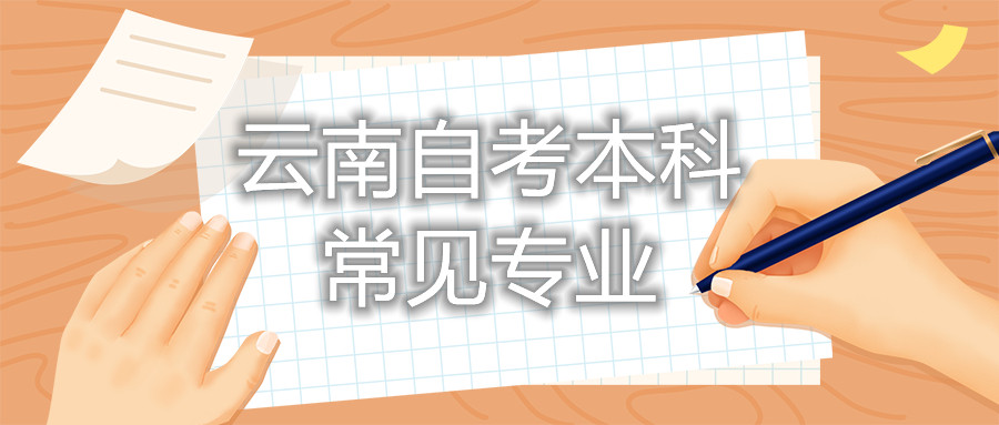 云南自考本科常見專業